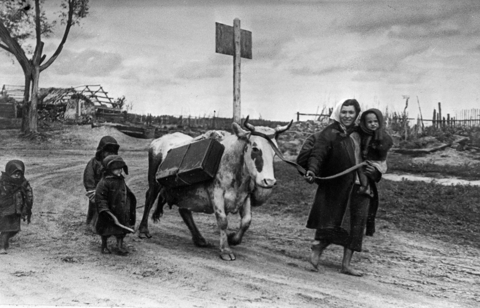 Вернулась в родную деревню